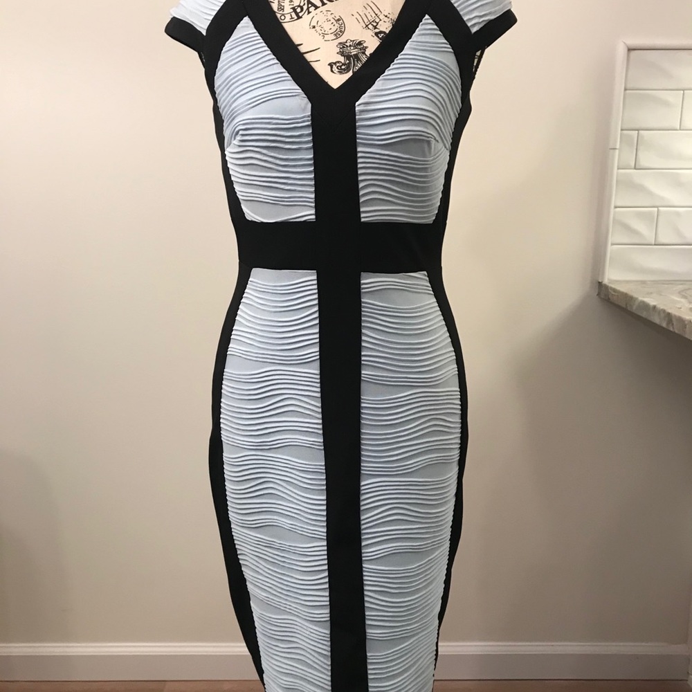 JAX Size 2 Dress